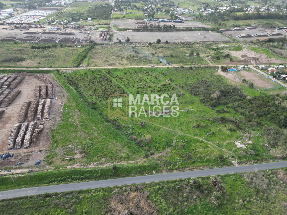 Terreno ID.522 - Venta Terrenos Logisticos En Polo Logistico Punta Sayago Oportunidad de Expandir Empresas 