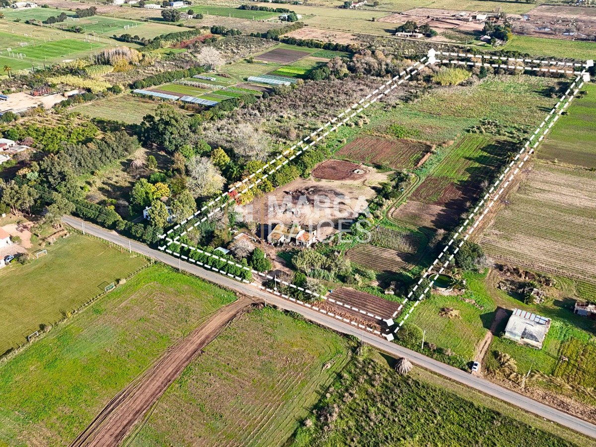 Terreno ID.1485 - Venta Terreno 4.25 HA Paso de la Arena Montevideo