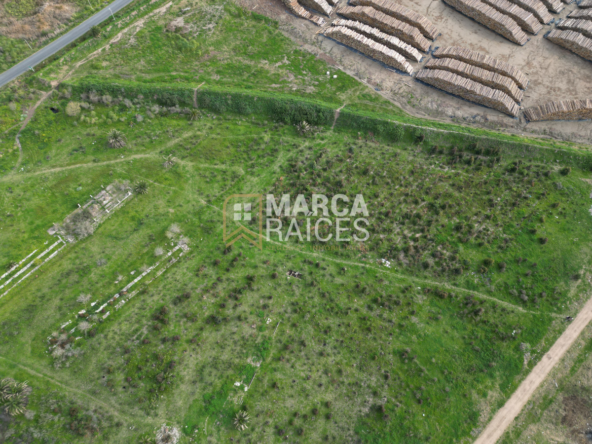 Terreno ID.522 - Venta Terrenos Logisticos En Polo Logistico Punta Sayago Oportunidad de Expandir Empresas 