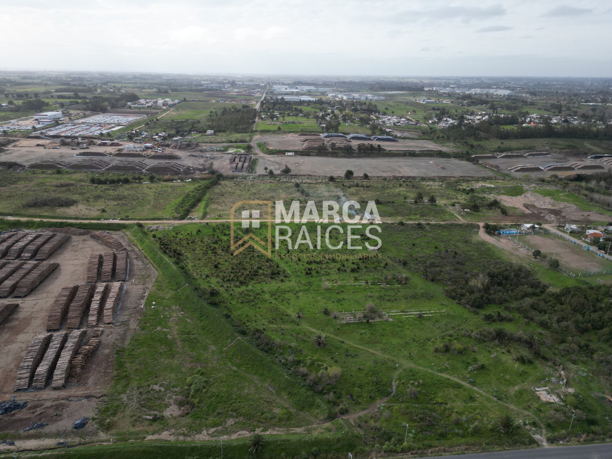 Terreno ID.522 - Venta Terrenos Logisticos En Polo Logistico Punta Sayago Oportunidad de Expandir Empresas 