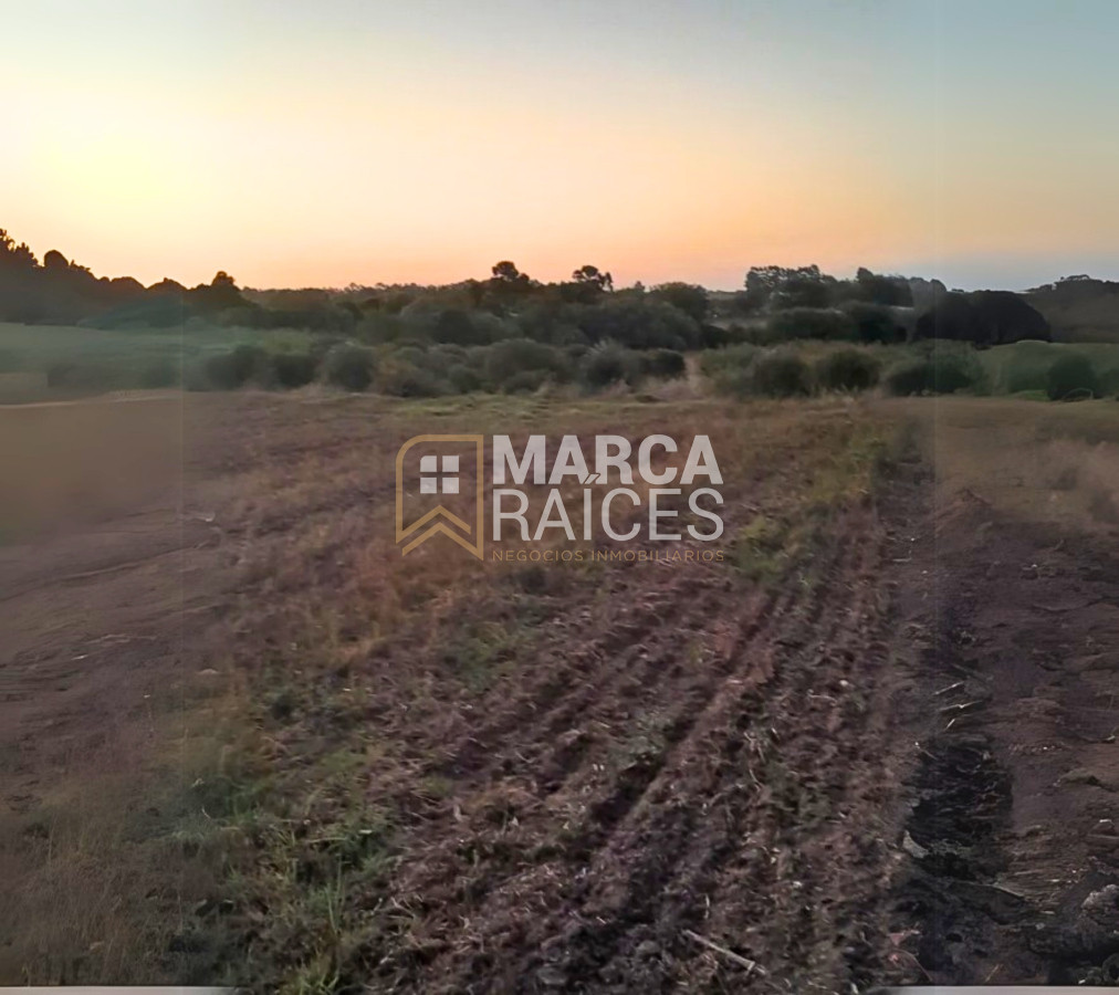 Terreno ID.1485 - Venta Terreno 4.25 HA Paso de la Arena Montevideo