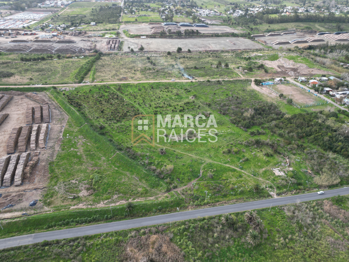 Terreno ID.522 - Venta Terrenos Logisticos En Polo Logistico Punta Sayago Oportunidad de Expandir Empresas 