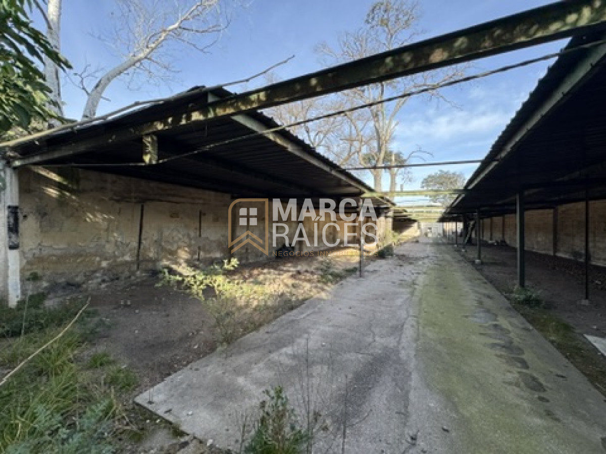 Terreno ID.533 - Venta Terreno Ideal para Desarrollo 1519m2 Millan Prado Montevideo