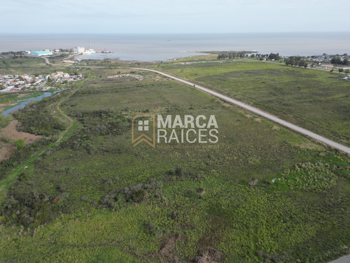Terreno ID.522 - Venta Terrenos Logisticos En Polo Logistico Punta Sayago Oportunidad de Expandir Empresas 