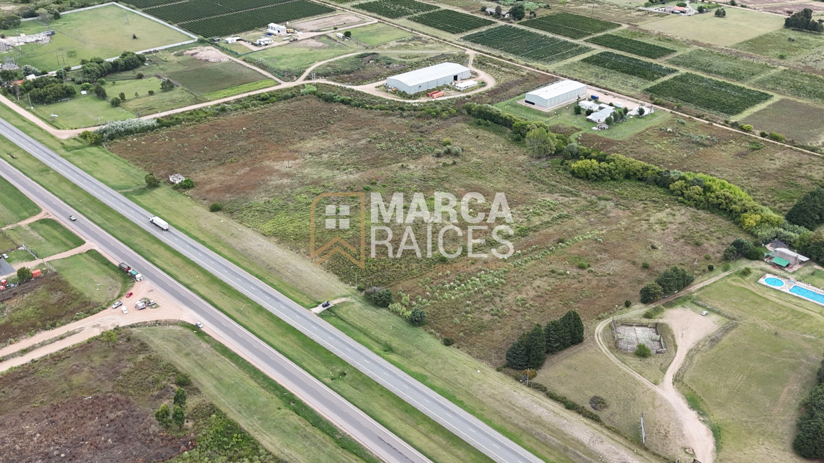 Terreno ID.1357 - Venta Terreno Lote Logistico 5,4 Hectáreas Sobre Ruta 5 Las Piedras Canelones Uruguay