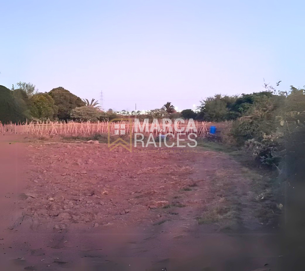 Terreno ID.1485 - Venta Terreno 4.25 HA Paso de la Arena Montevideo