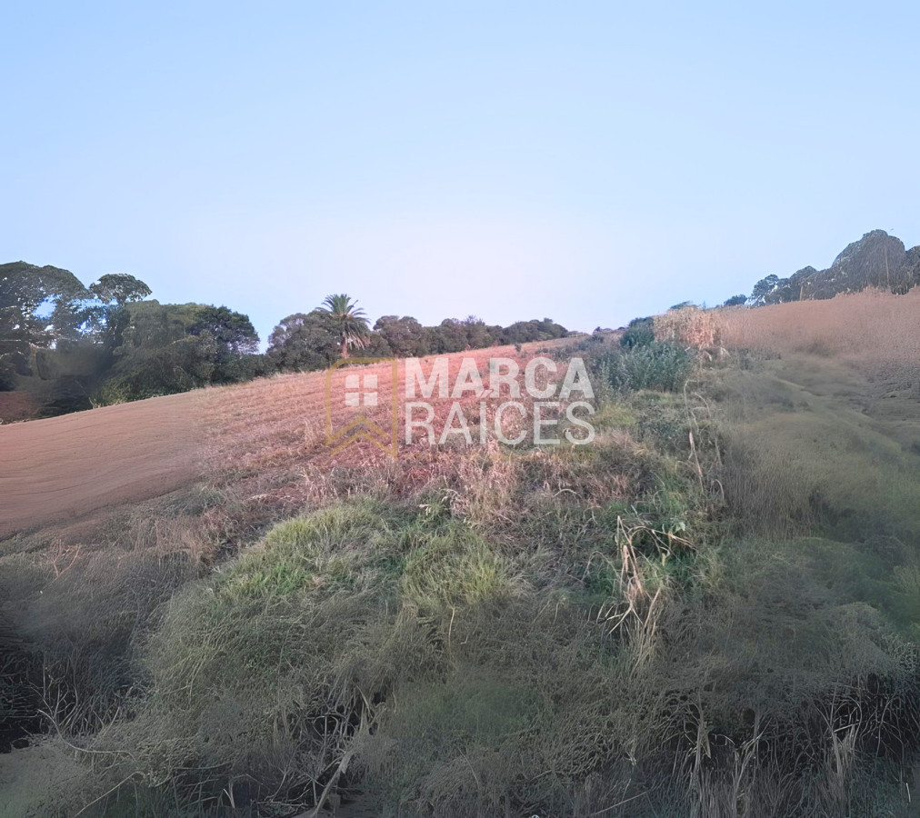 Terreno ID.1485 - Venta Terreno 4.25 HA Paso de la Arena Montevideo