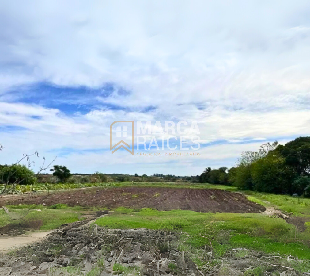 Terreno ID.1485 - Venta Terreno 4.25 HA Paso de la Arena Montevideo