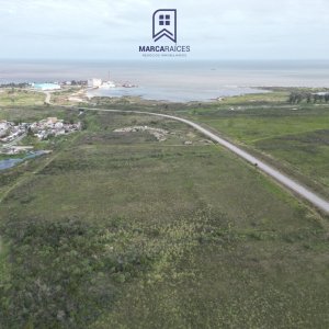 Venta Terrenos Logisticos En Exclusiva Frente al Polo Logistico Punta Sayago Montevideo