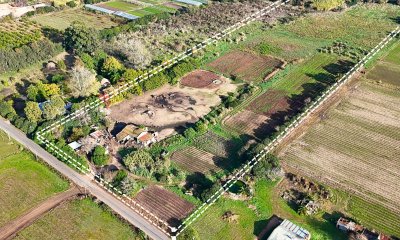 Venta Terreno 4.25 HA Paso de la Arena Montevideo
