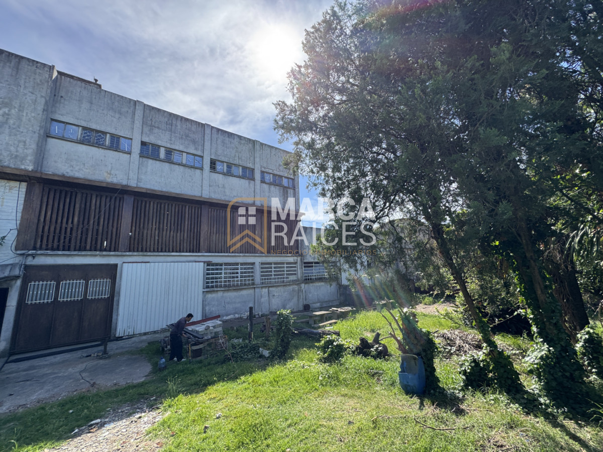 Oficina ID.1682 - Alquiler Deposito Logistico de Buenas Dimensiones Belvedere Montevideo