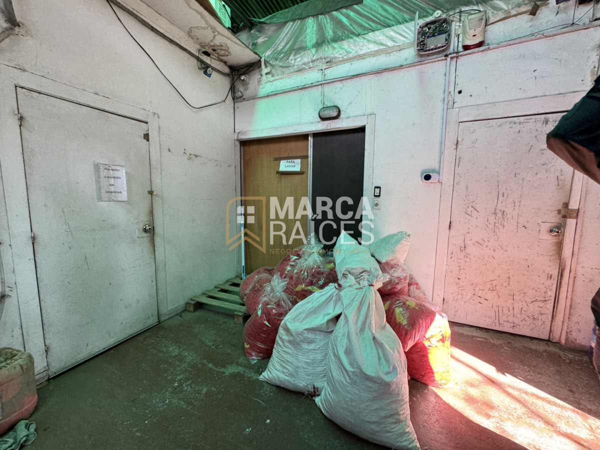 Oficina ID.1682 - Alquiler Deposito Logistico de Buenas Dimensiones Belvedere Montevideo