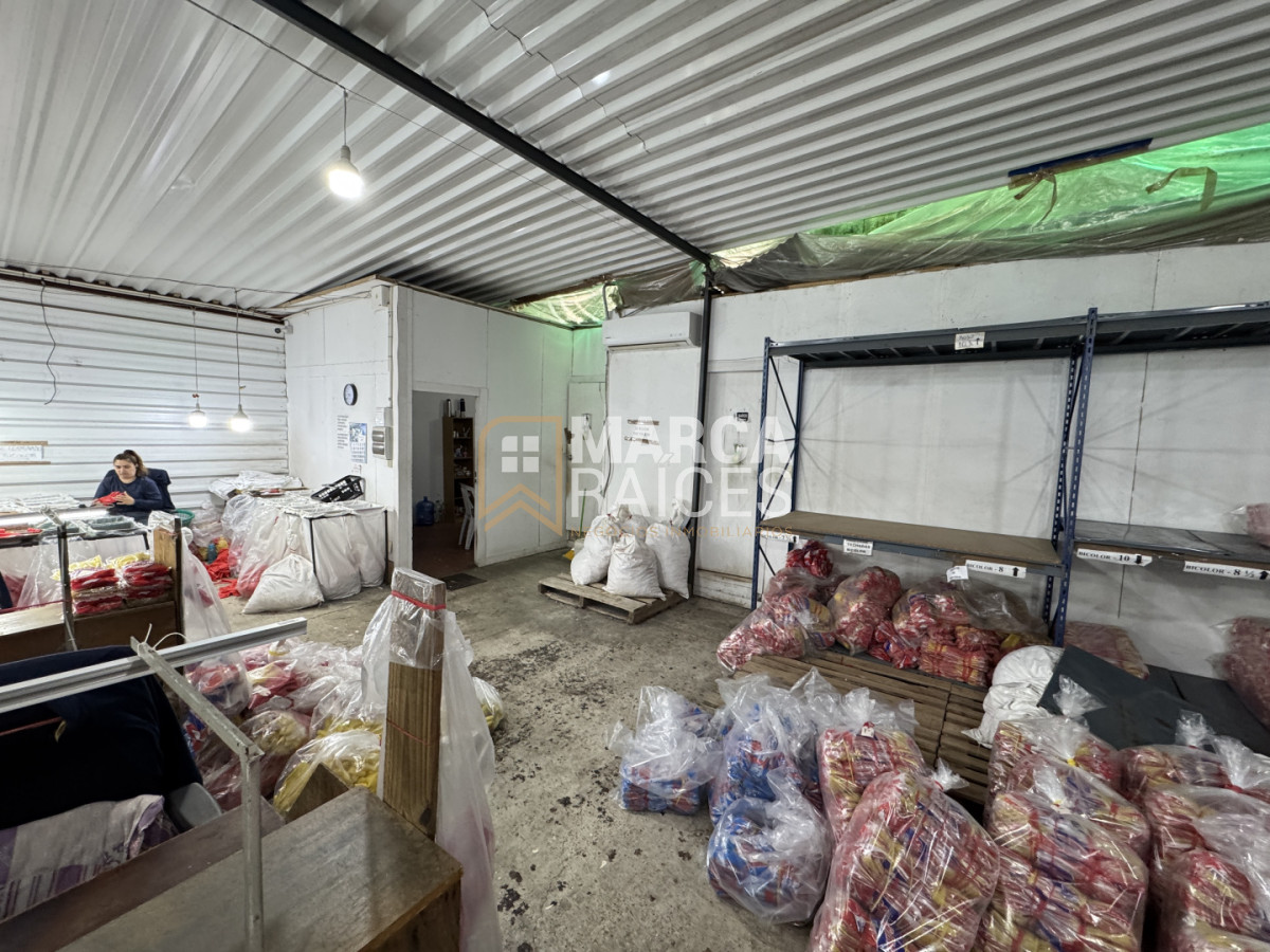 Oficina ID.1682 - Alquiler Deposito Logistico de Buenas Dimensiones Belvedere Montevideo