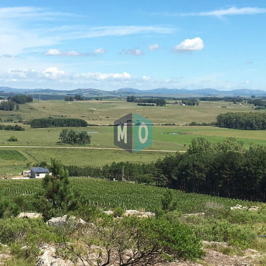 Terreno ID.649 - Espectacular Lote para fraccionar