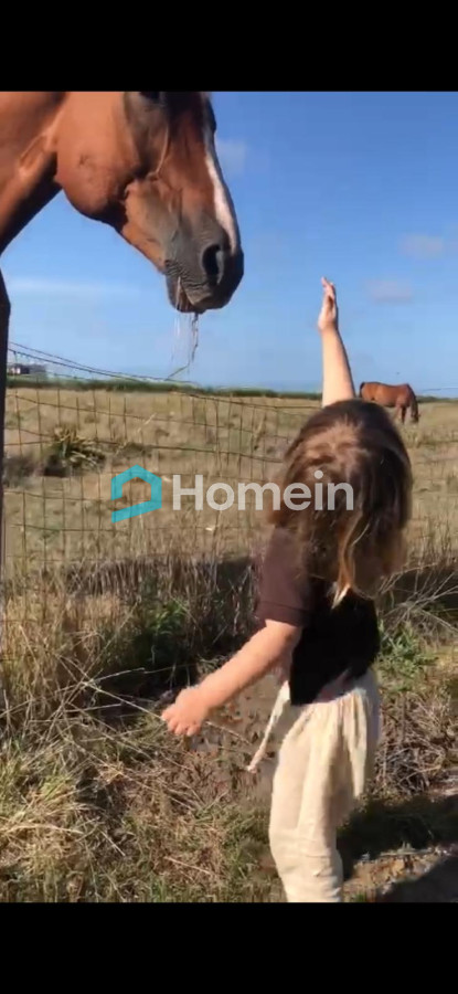 Chacra ID.812 - Chacra - La Barra un privilegio de vivir en el campo cerca de todo.