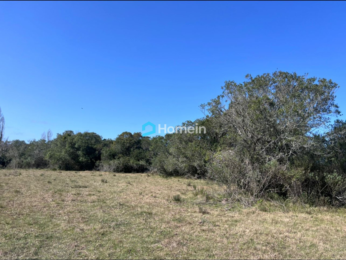 Campo Ref.2206 - Campo de 11 hectáreas con costa sobre Arroyo Maldonado y gran potencial turístico