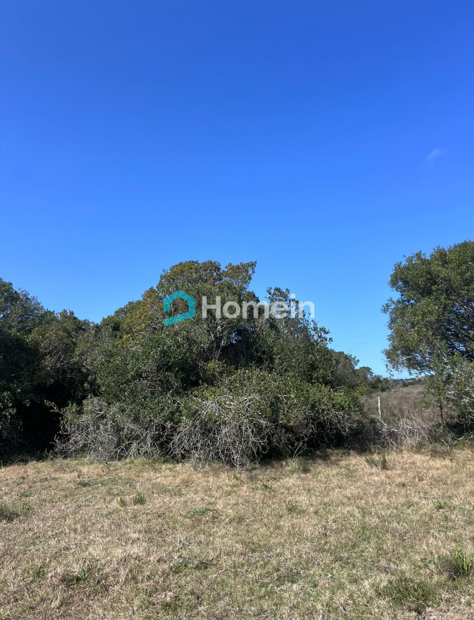 Campo Ref.2206 - Campo de 11 hectáreas con costa sobre Arroyo Maldonado y gran potencial turístico