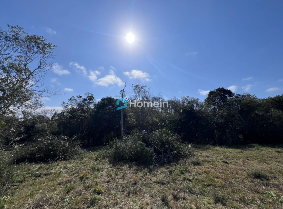 Campo Ref.2206 - Campo de 11 hectáreas con costa sobre Arroyo Maldonado y gran potencial turístico