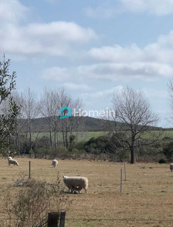 Campo Ref.2206 - Campo de 11 hectáreas con costa sobre Arroyo Maldonado y gran potencial turístico
