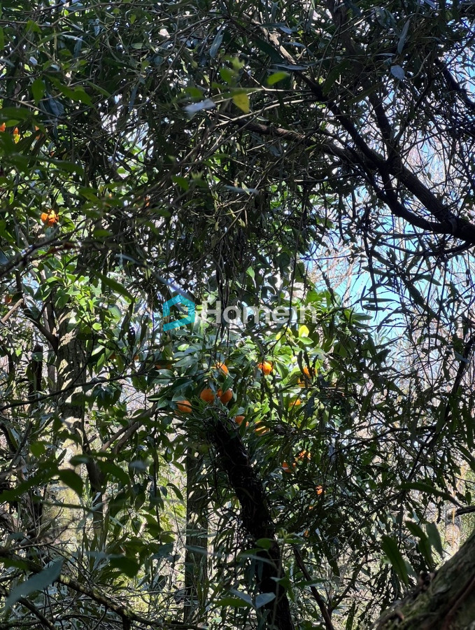 Campo Ref.2206 - Campo de 11 hectáreas con costa sobre Arroyo Maldonado y gran potencial turístico