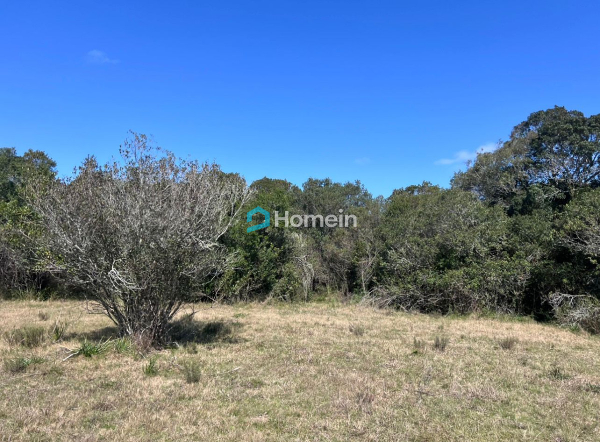 Campo Ref.2206 - Campo de 11 hectáreas con costa sobre Arroyo Maldonado y gran potencial turístico