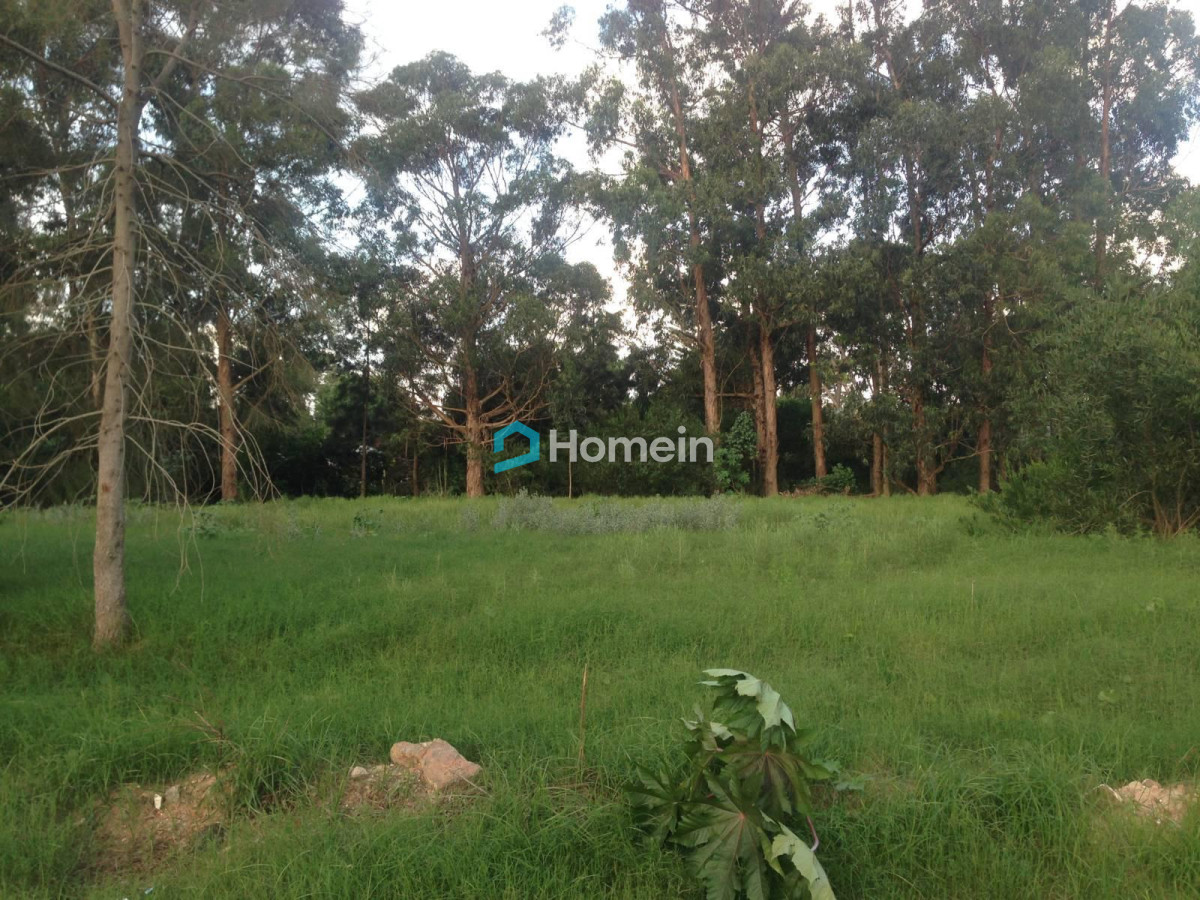 Terreno ID.186 - Terreno En Venta en Barrio Privado de Punta del Este