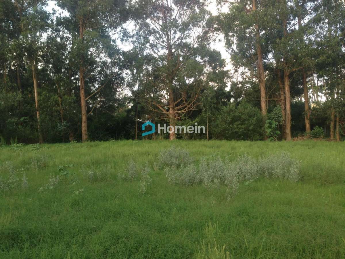 Terreno ID.186 - Terreno En Venta en Barrio Privado de Punta del Este