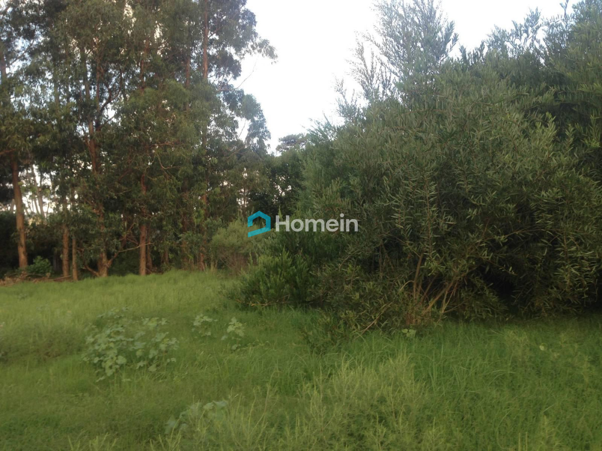 Terreno ID.186 - Terreno En Venta en Barrio Privado de Punta del Este