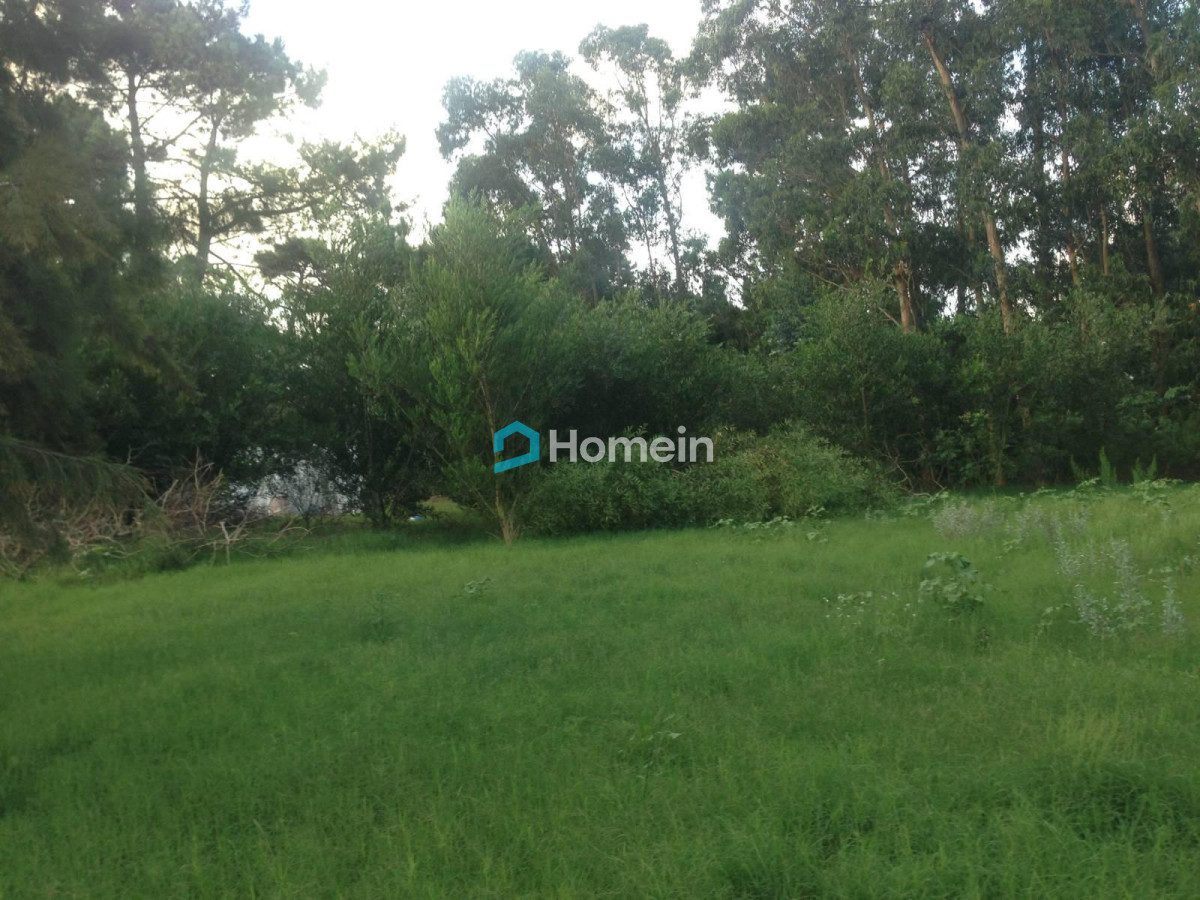 Terreno ID.186 - Terreno En Venta en Barrio Privado de Punta del Este
