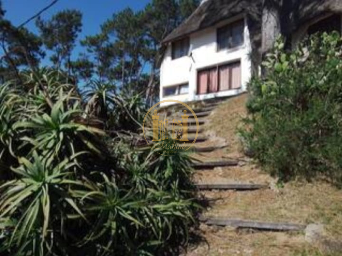 Casa ID.66 - Alquiler casa anual, 4 dormitorios 2 baños, Piscina, Punta del este, Maldonado. 