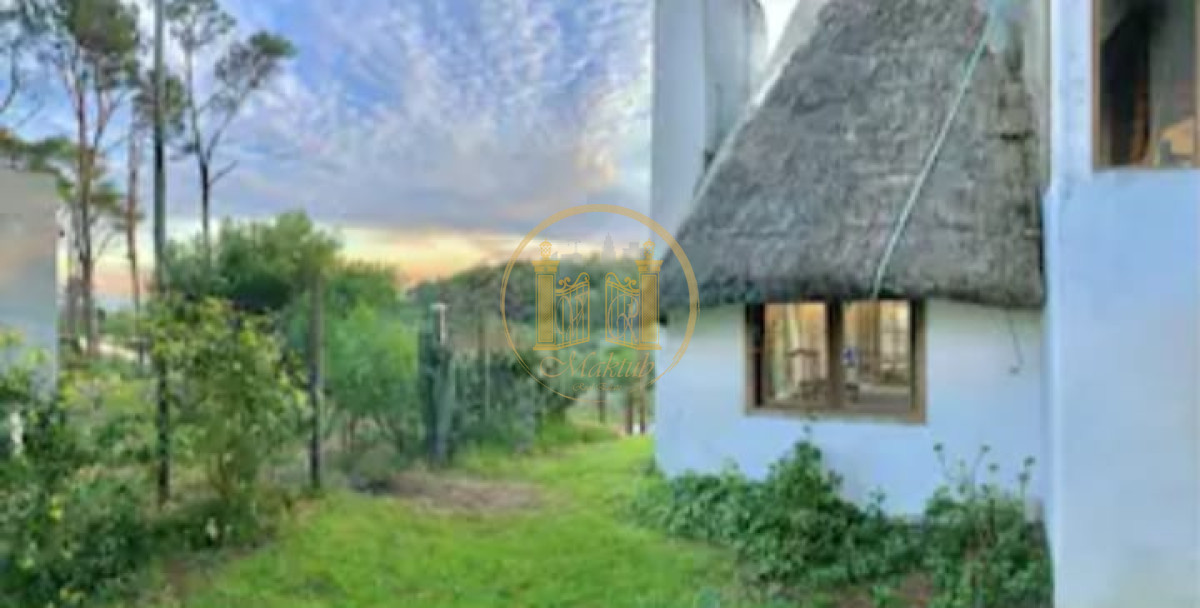 Casa ID.66 - Alquiler casa anual, 4 dormitorios 2 baños, Piscina, Punta del este, Maldonado. 