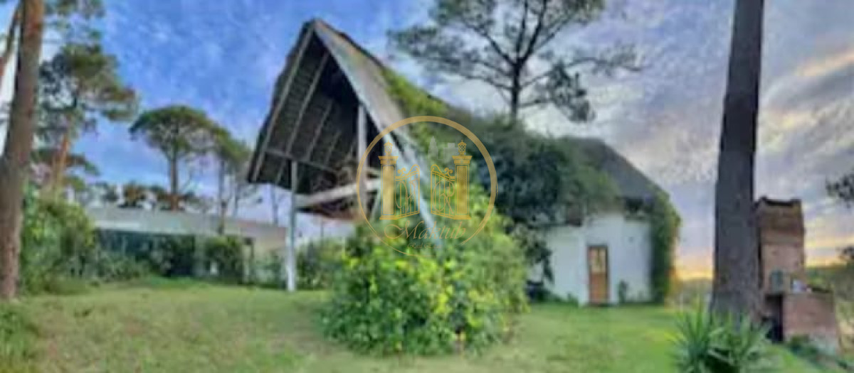 Casa ID.66 - Alquiler casa anual, 4 dormitorios 2 baños, Piscina, Punta del este, Maldonado. 