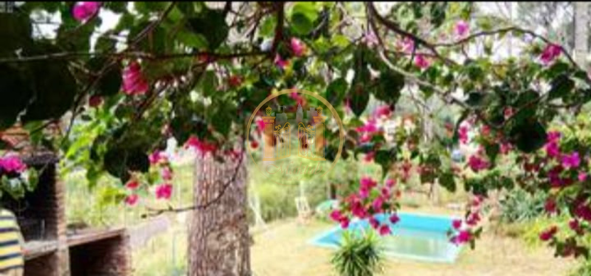 Casa ID.66 - Alquiler casa anual, 4 dormitorios 2 baños, Piscina, Punta del este, Maldonado. 