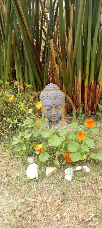 Casa ID.859 - Casa en La Barra, La Barra