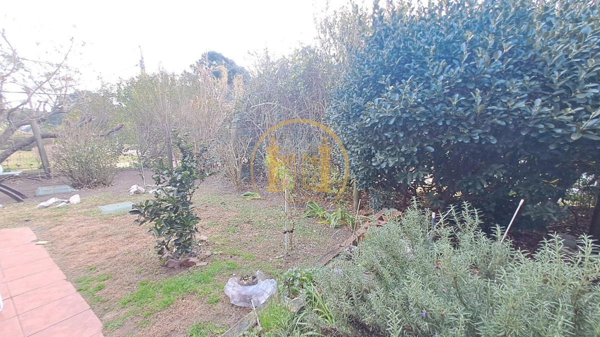 Casa ID.846 - Casa en Punta Ballena, Tio Tom