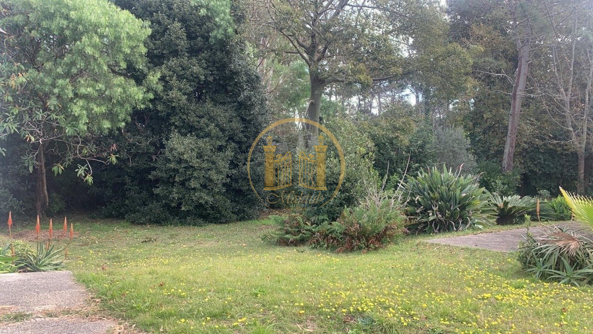 Casa ID.49 - Vendo casa, 3 dormitorios, 2 baños, San Rafael, Punta del este, Maldonado.