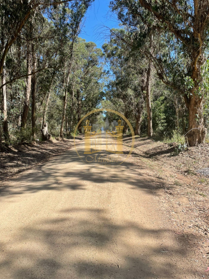 Casa ID.734 - Casa en Punta Ballena, Sauce de Portezuelo