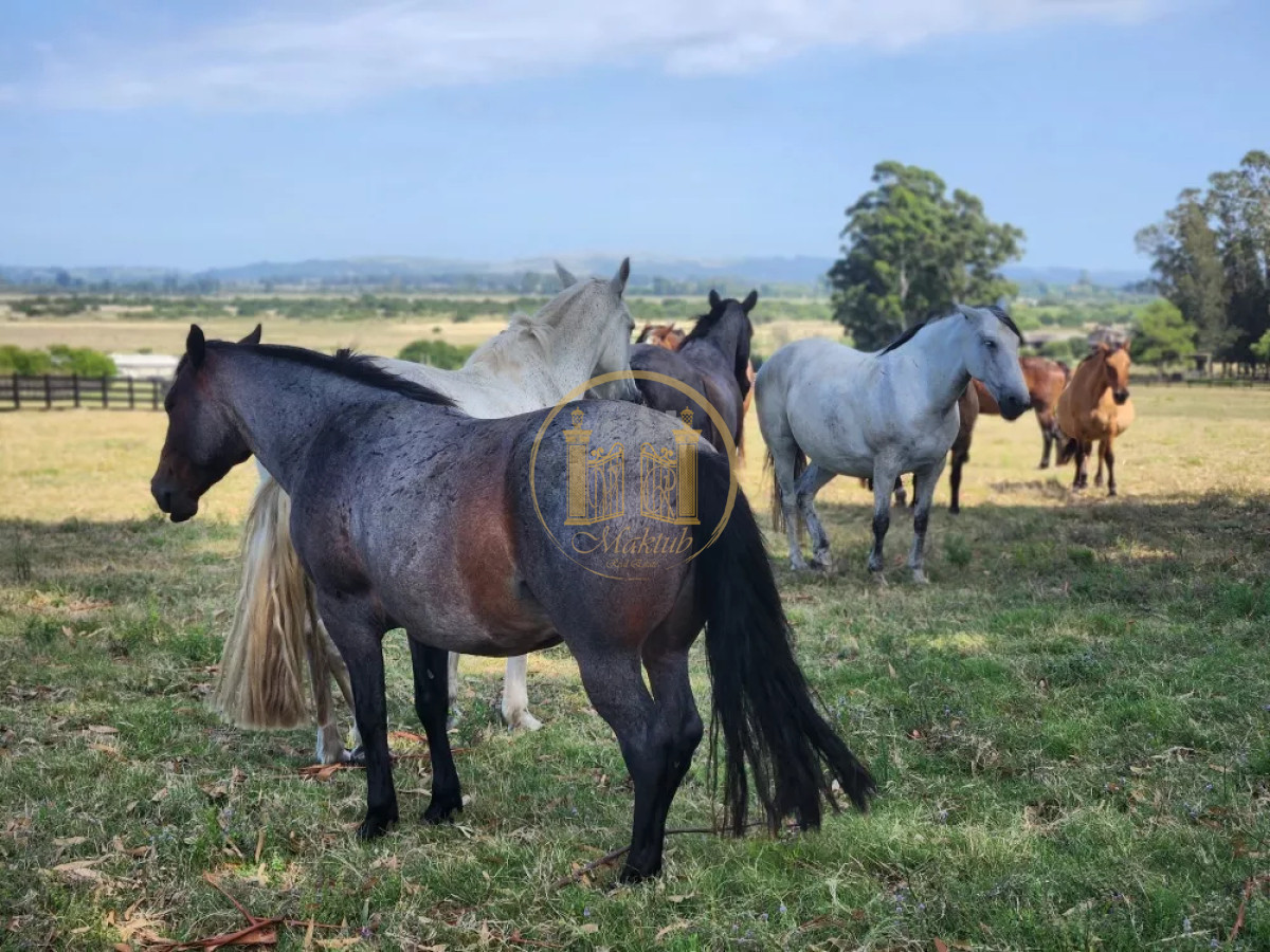 Casa ID.904 - Casa en Zona Rural, Zona Rural