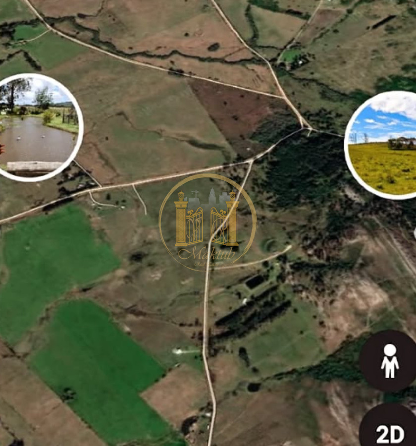 Chacra ID.982 - VENDO CHACRA, 10 HECTAREAS Y MEDIA, TAJAMAR, CAMINO DE LAS LECHUZAS, MALDONADO.