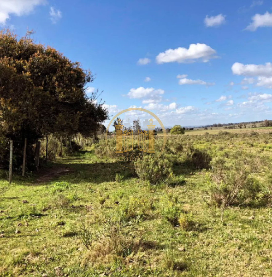 Chacra ID.982 - VENDO CHACRA, 10 HECTAREAS Y MEDIA, TAJAMAR, CAMINO DE LAS LECHUZAS, MALDONADO.