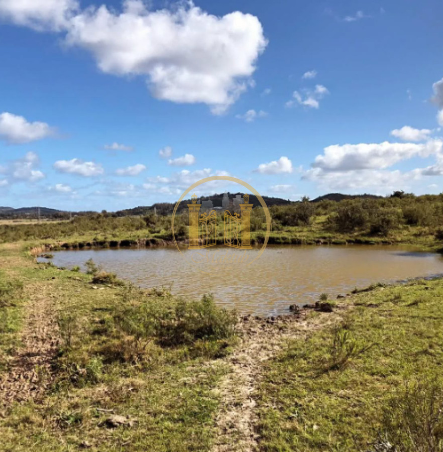 Chacra ID.982 - VENDO CHACRA, 10 HECTAREAS Y MEDIA, TAJAMAR, CAMINO DE LAS LECHUZAS, MALDONADO.