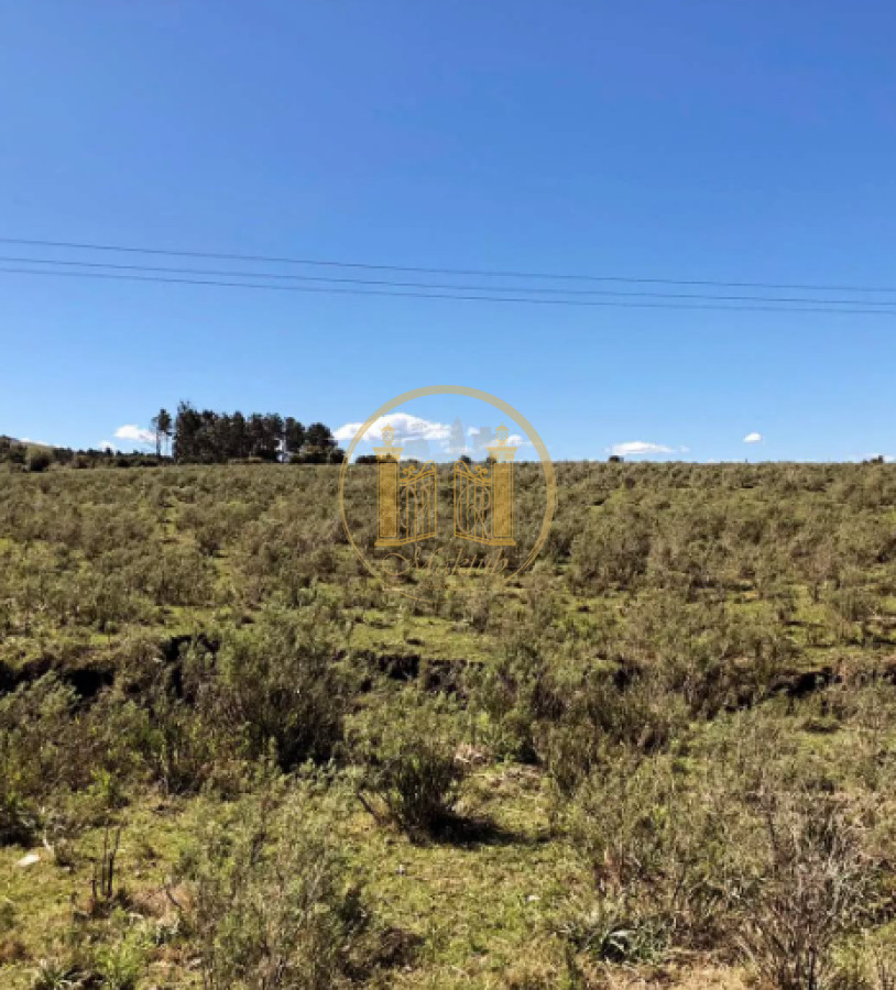 Chacra ID.982 - VENDO CHACRA, 10 HECTAREAS Y MEDIA, TAJAMAR, CAMINO DE LAS LECHUZAS, MALDONADO.
