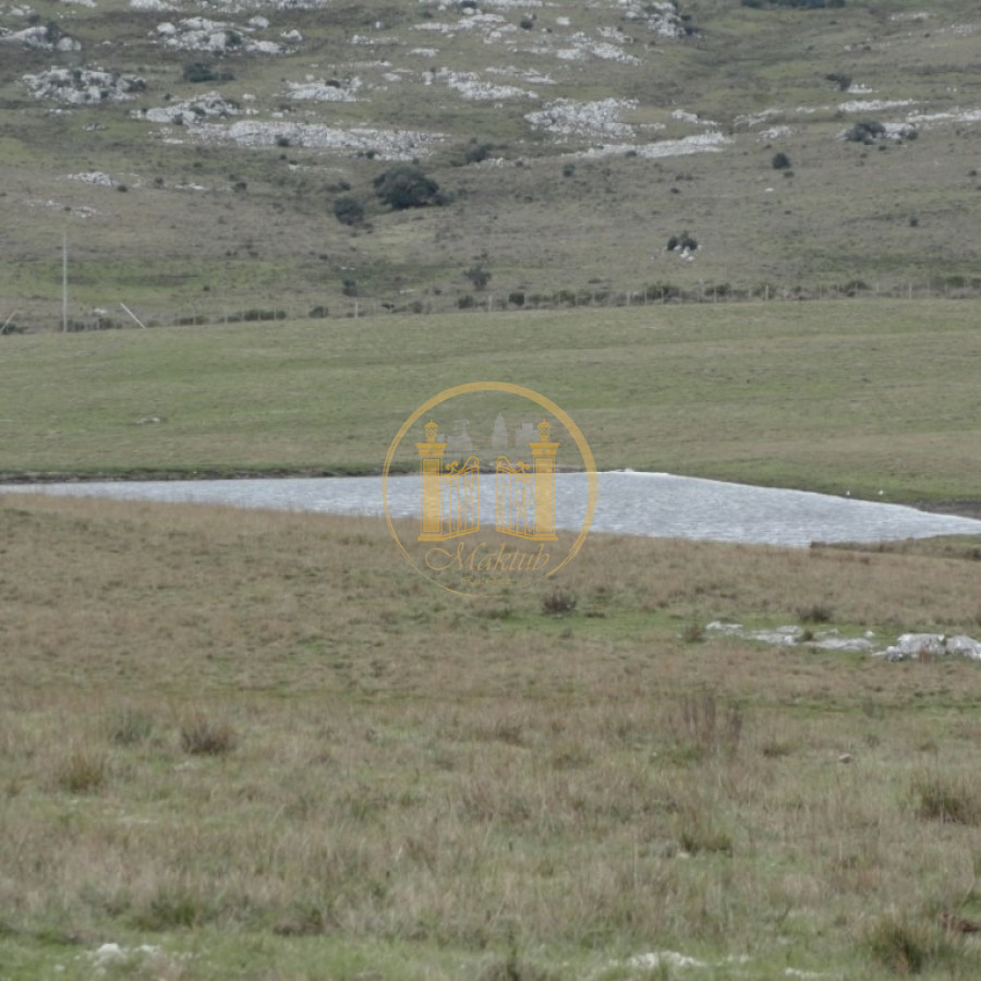 Campo Ref.45 - Venta Campo 161,5 Has Maldonado