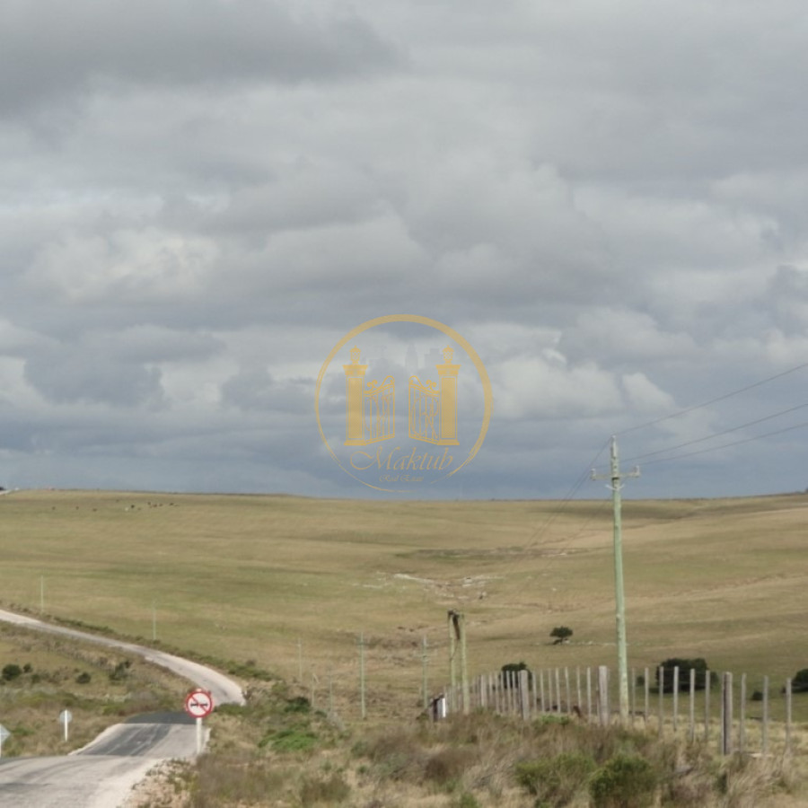Campo Ref.45 - Venta Campo 161,5 Has Maldonado