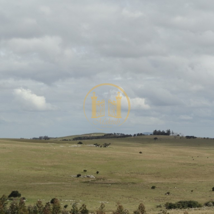 Campo Ref.45 - Venta Campo 161,5 Has Maldonado
