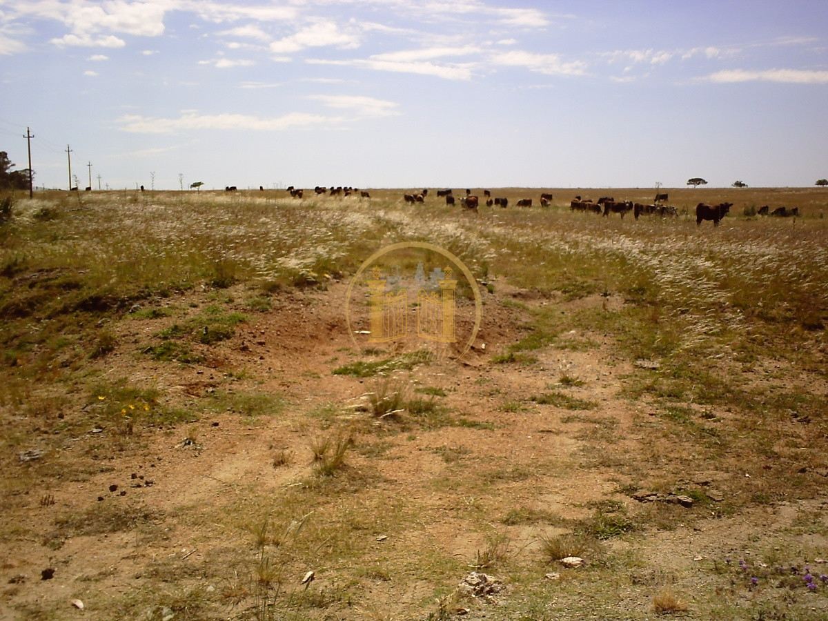 Campo Ref.63 - VENTA CAMPO 1500 HECTAREAS