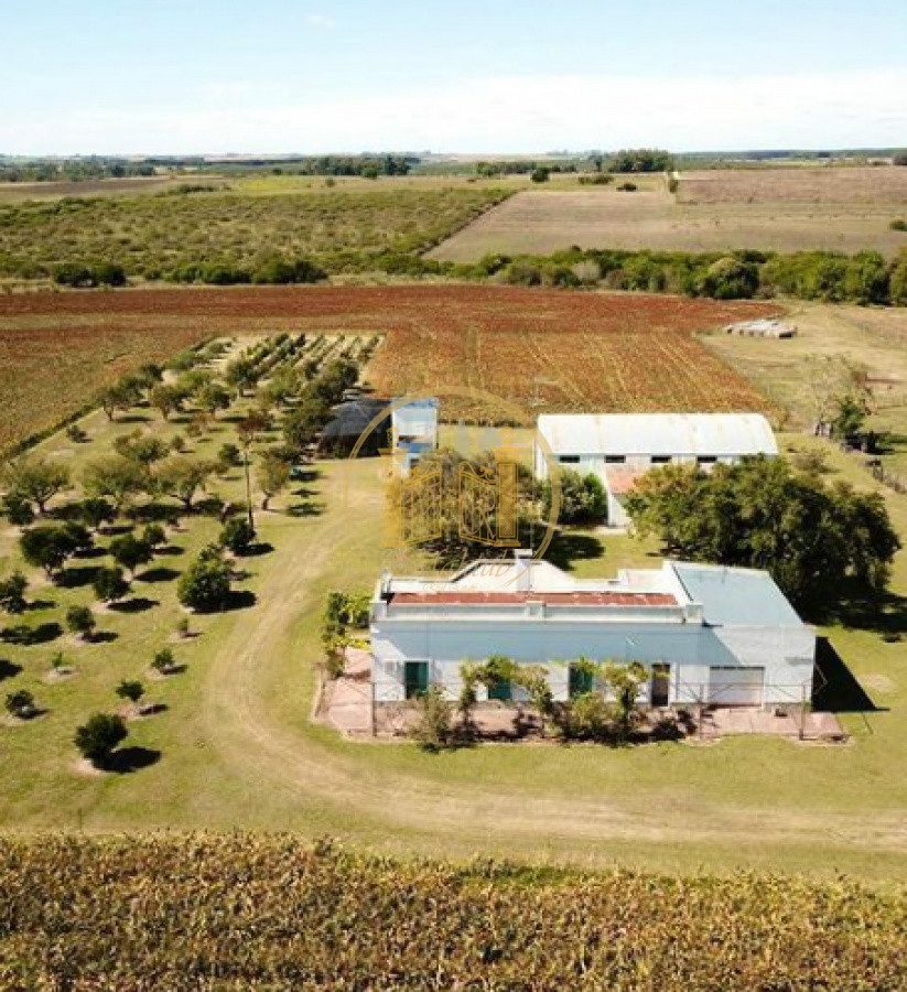 Campo Ref.63 - VENTA CAMPO 1500 HECTAREAS
