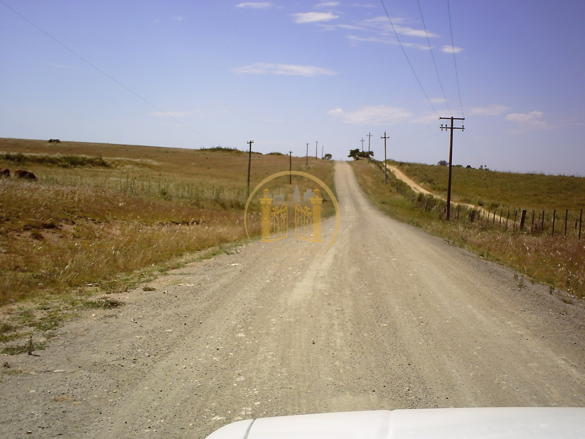 Campo Ref.63 - VENTA CAMPO 1500 HECTAREAS