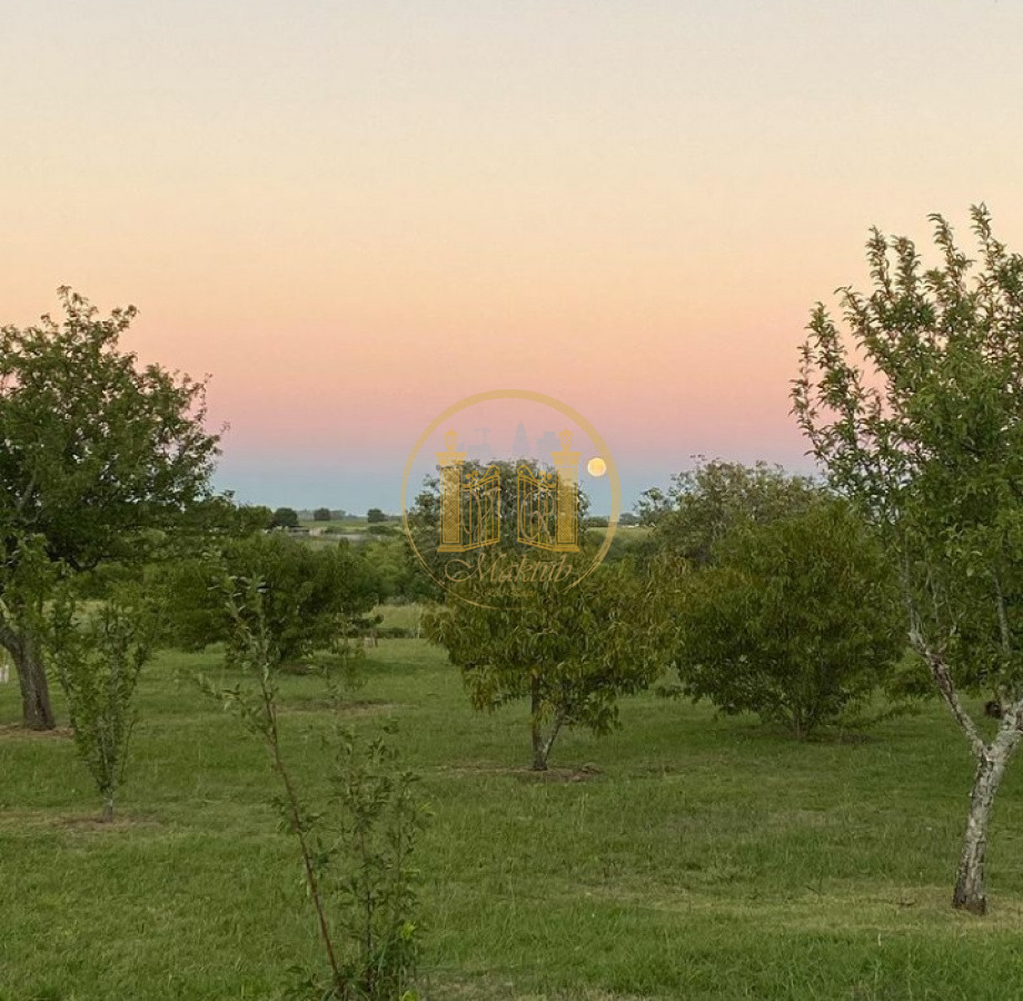 Campo Ref.63 - VENTA CAMPO 1500 HECTAREAS