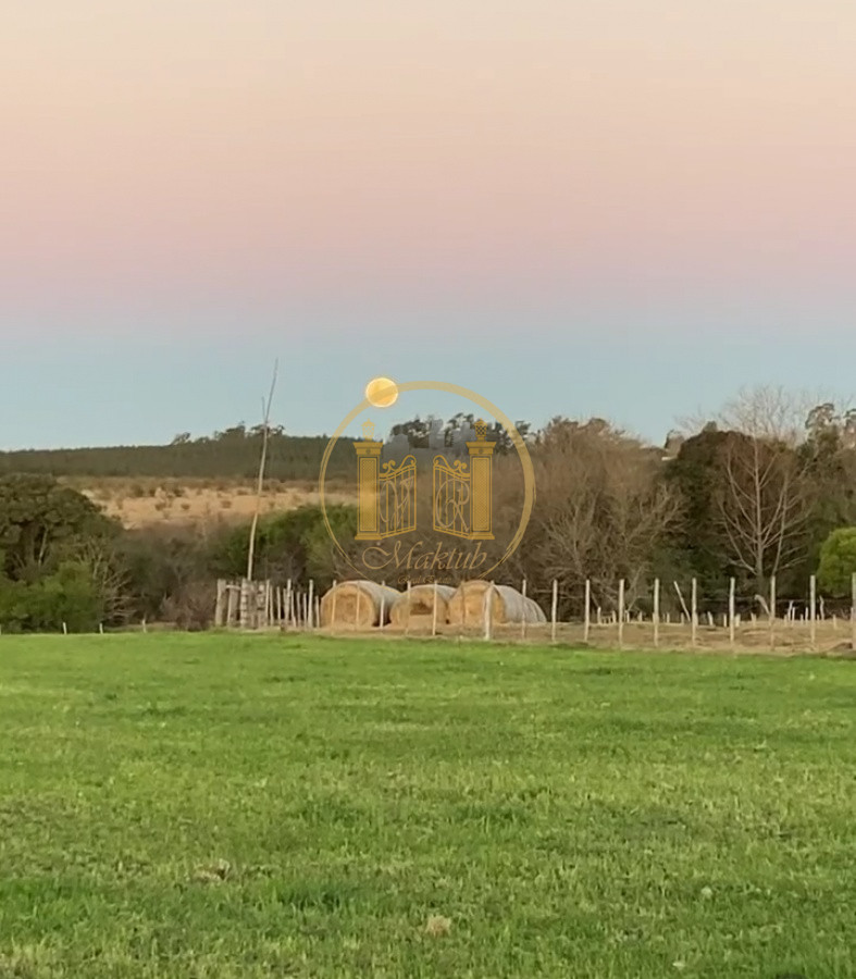 Campo Ref.63 - VENTA CAMPO 1500 HECTAREAS